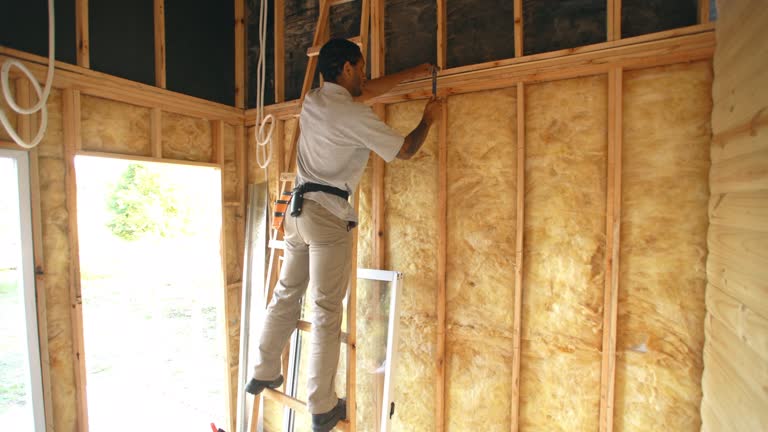 Best Insulation for New Construction  in Resaca, GA