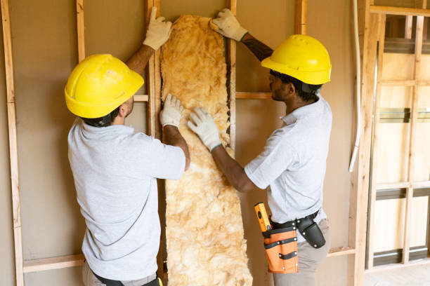 Best Soundproof Insulation  in Resaca, GA